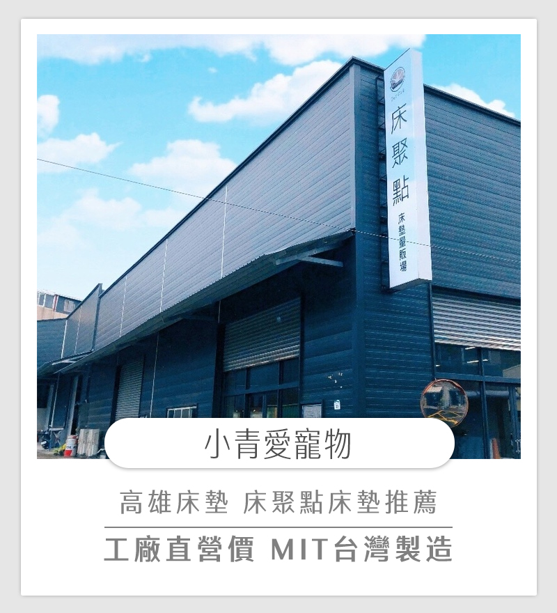 小青愛寵物